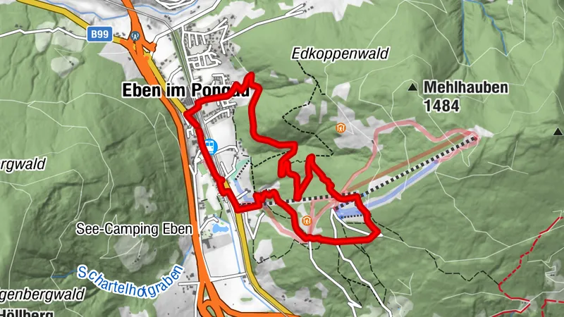 Family hike to the Reitlehenalm | Circular route