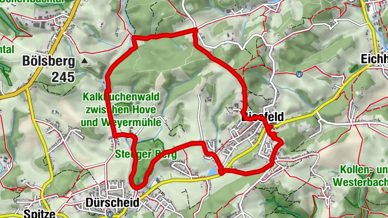 "Domblick, Mühle und Dorfidylle"