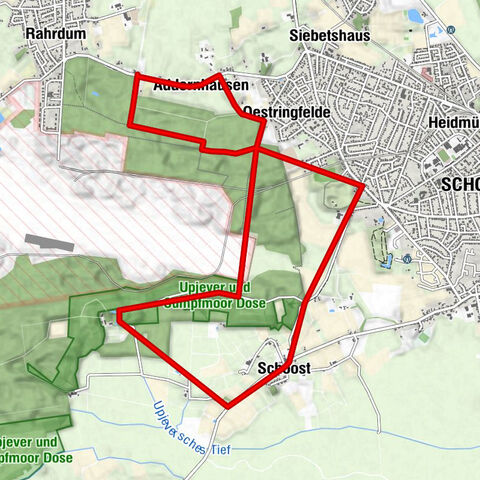 Durch den  Upjever Forst