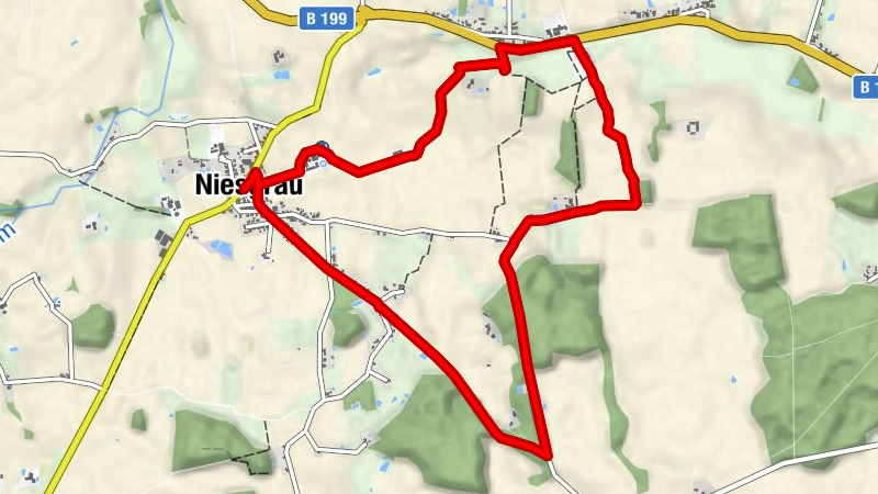 Niesgrau und Lüchtoft