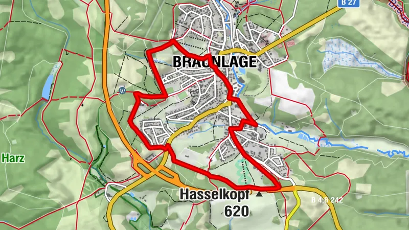 Braunlage für's Auge