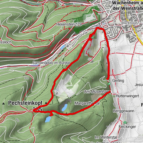 Thomas‘ Waldweinstube über die Wachtenburg