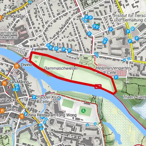 Laufstrecke (grün) entlang der Dammaschwiesen