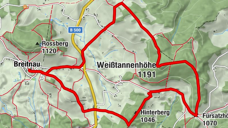 Breathtaking panorama over the heights of Breitnau