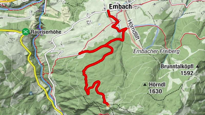 Mountain bike tour to Kapelleralm from Embach at 1,510 m