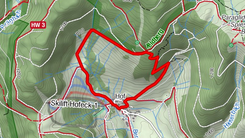 Bernau im Schwarzwald: Rundweg Hofeck