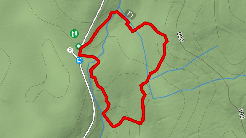 Erlebnisweg Seelensteig