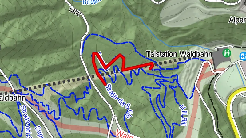 Freeride Trail