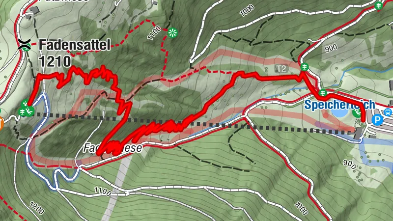Rock'n'Roots Trail