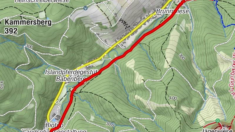 Bach-Trail