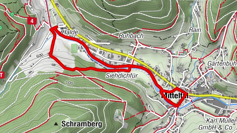 Winterwandern an der Murg