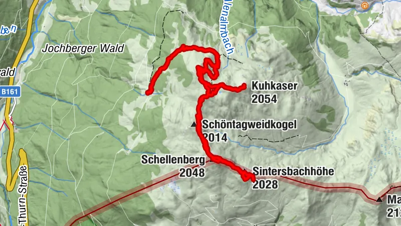 Stierkopf Kuhkaser Schellenberg