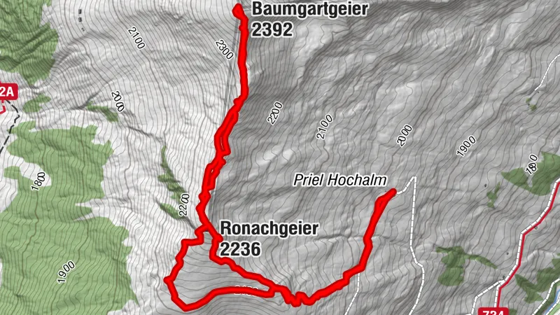 Ronachgeier und Baumgartgeier
