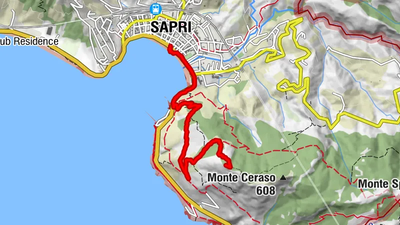 Monte Ceraso - Acqua delle Vigne, Bandiera