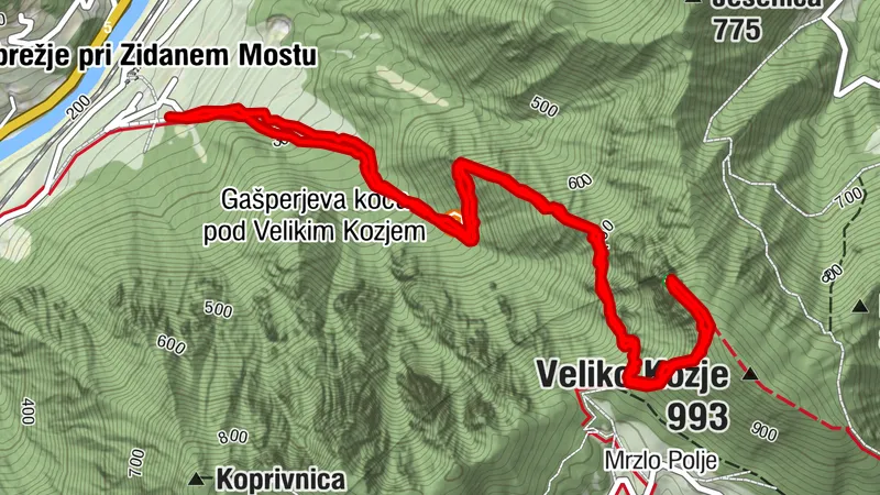 Obrežje pri Zidanem Mostu, Slovenia