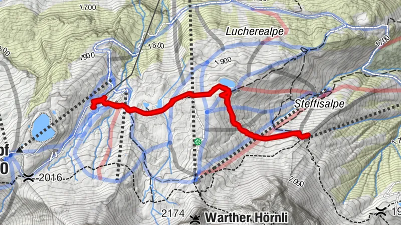 Blumenwanderug von der Bergstadion, Steffisalpbahn zur Hochalphütte