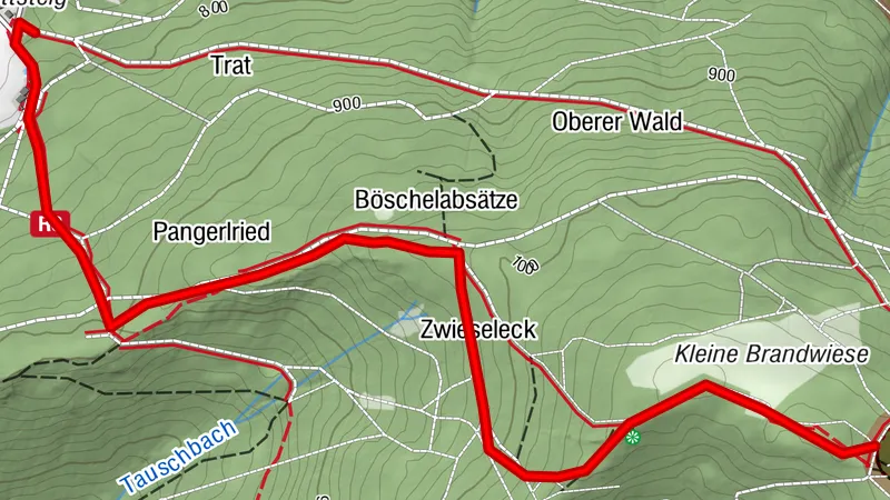 Auf den Großen Osser Teil2