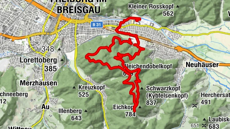 Freiburg - Kybfelsen Trail Running Tour
