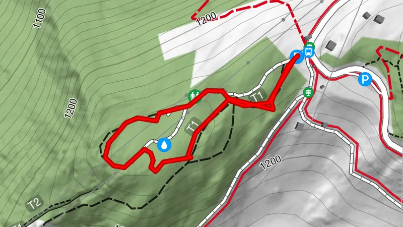 Ernen Zauberwald, Wallis/Schweiz