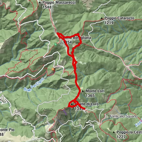 Monte Lori - Spadda nella Rocca via Cime Bottilgliana (Pratomagno)