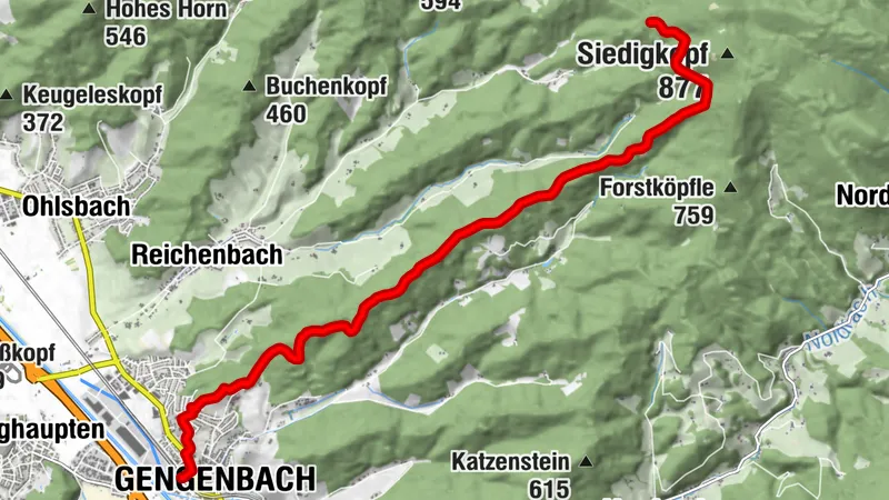 Trekking Schwarzwald Camp Späneplatz - Gengenbach