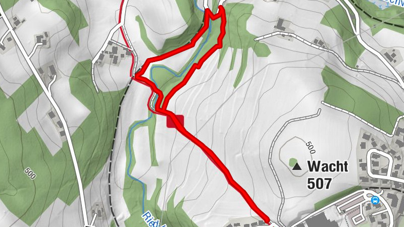 Spaziergang um den Riedbach in Viechtach