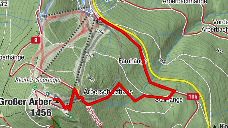 Wanderung zum Arber Gipfel, über Brennesfichte, Osthang