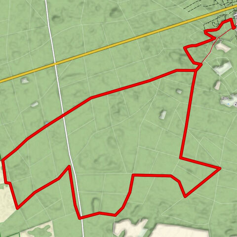 Through the Gartow pines to the Nemitzer Heide