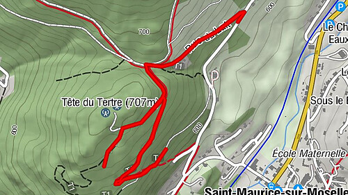 Family walk: in the Vosges forest