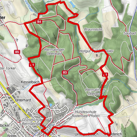 Bodensee LandGänge "Bermatinger Waldwiesen"