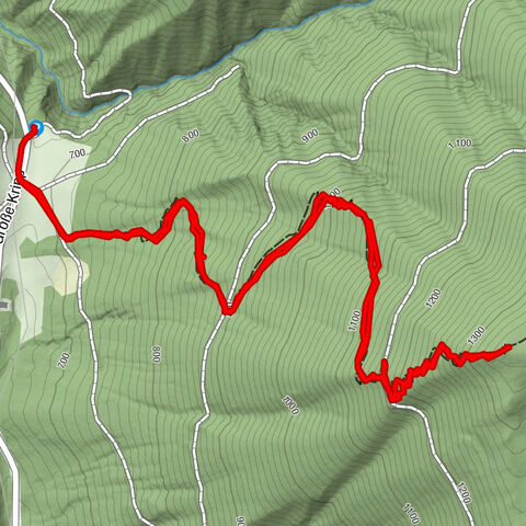 Friesling von großer kripp