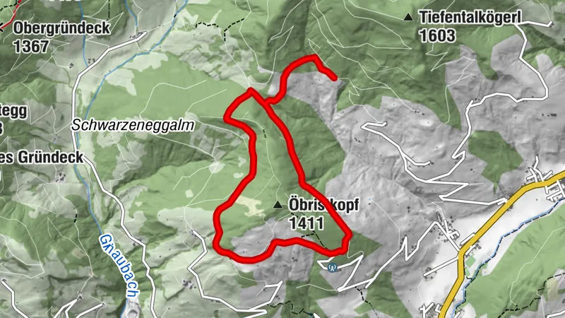 Around the Öbristköpfl / Wagrainer Alm (55,453)